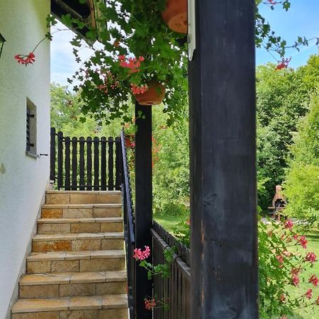 Apartman Poznanovic Apartment Rakovica Exterior photo